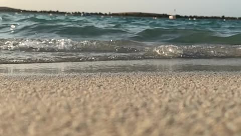 Life & Flow