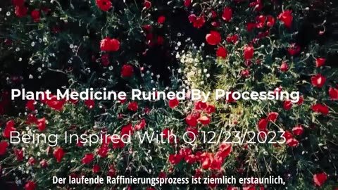 Pflanzliche Medizin durch Verarbeitung ruiniert
