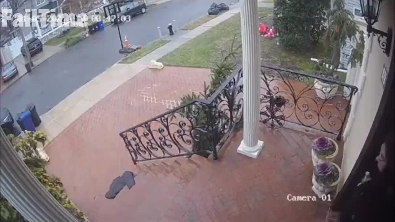 Funny fails videos