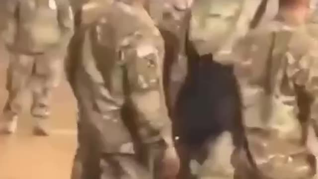 State of the military