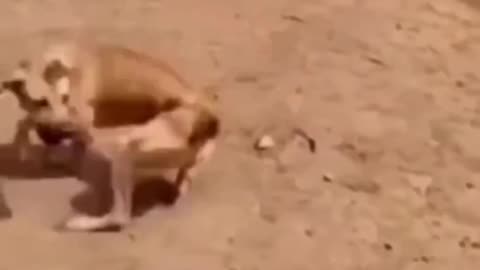 🤣🤣🤣