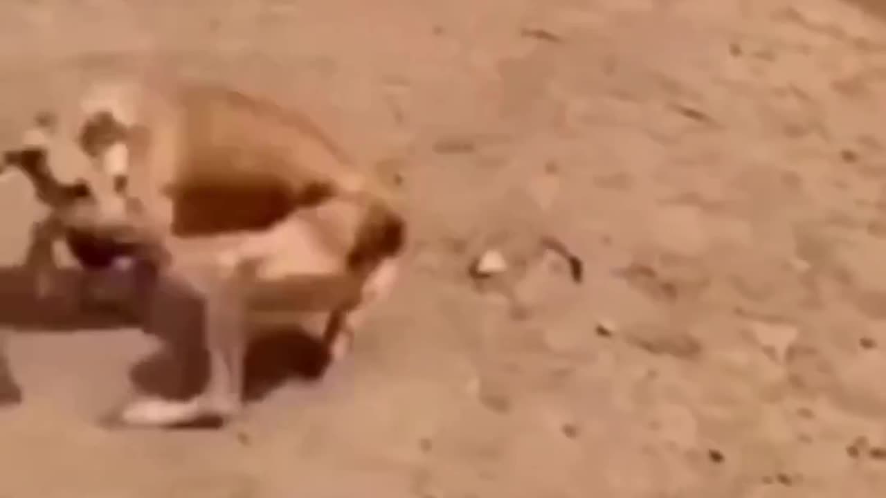 🤣🤣🤣