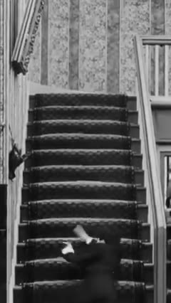 Charlie the comedy King