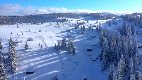 Winter Soundscape Nature Sounds