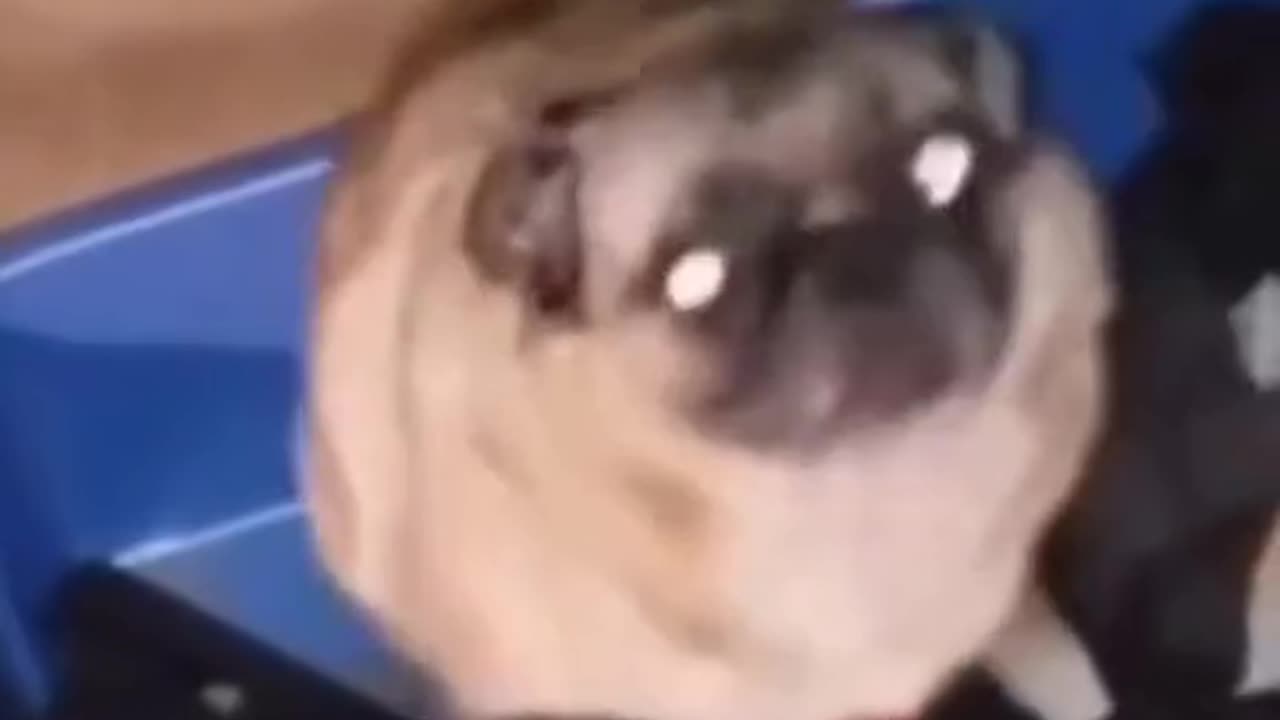 RESPECTβπ»ππ―π₯π―π