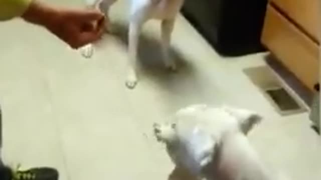 Calm down, kid..!!