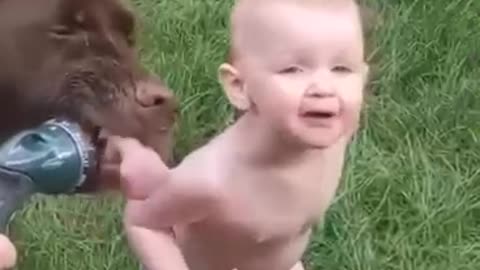 Funny children videos