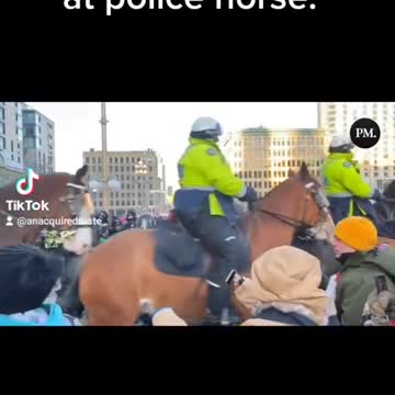 Ottawa police caught in lie - Bike was never thrown at horses