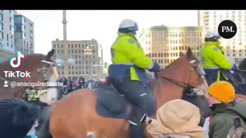 Ottawa police caught in lie - Bike was never thrown at horses