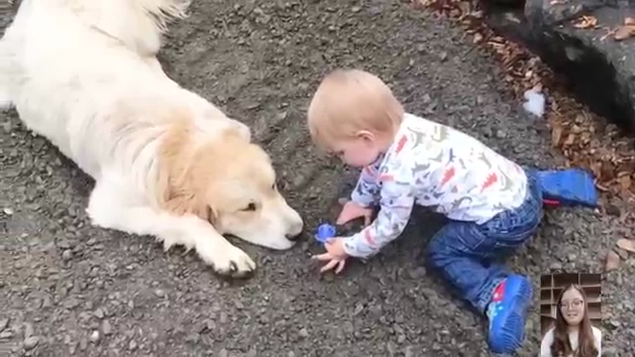 Adorable_Babies_Playing_With_Dogs_Compilation_-_Funny_Baby_And_Dog_Videos_||_Just_Laugh(360)