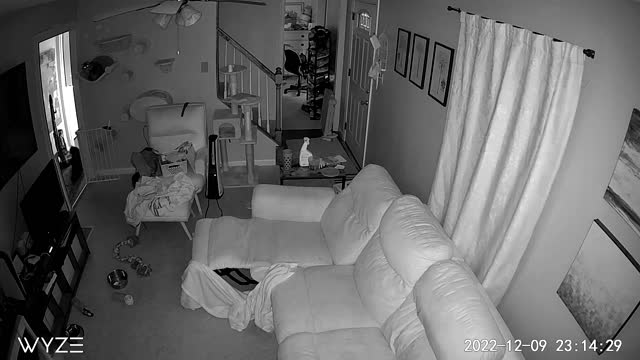 Explosion Caught on Home Security Cameras