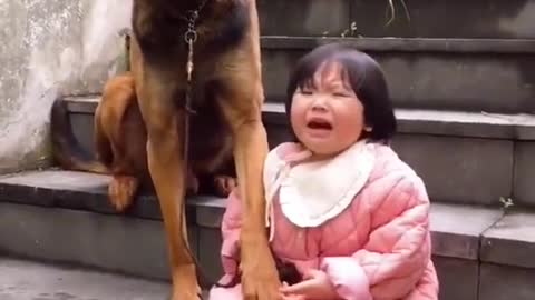 🐕Dog Care of Crying 😭 Girl