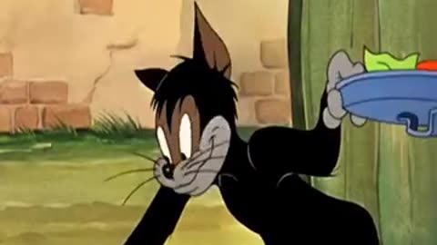 Tom and Jerry