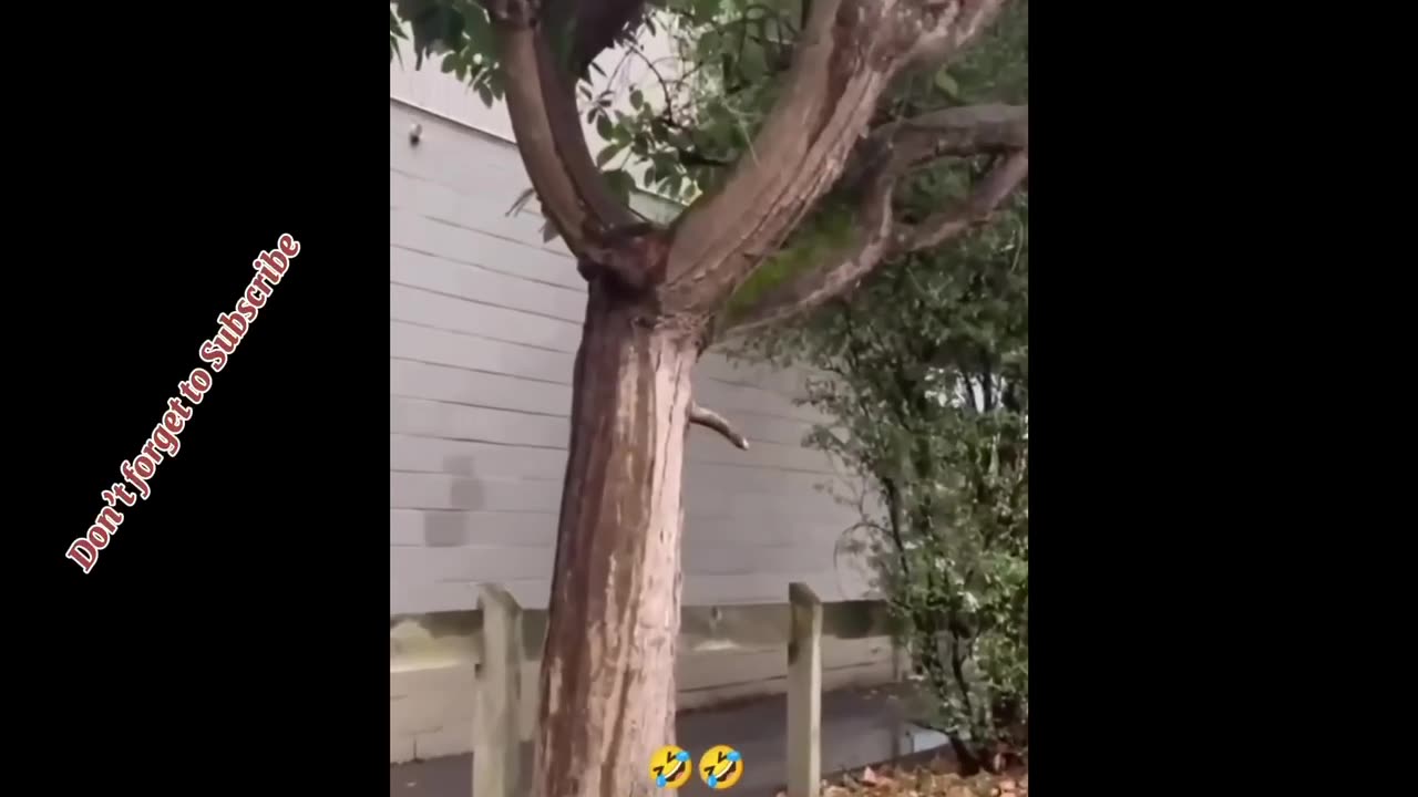 funny reels try not to laugh 😂😂
