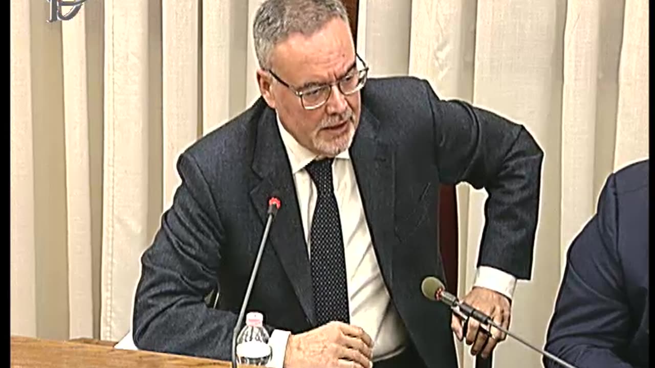 Alberto Bagnai Previdenza e assistenza sociale, audizione Durigon