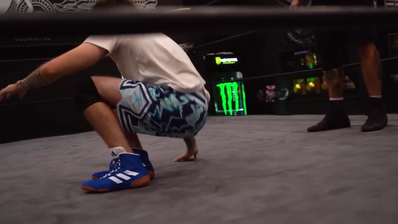 I'm A Professional Wrestler Now