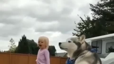 FUNNY ANIMALS