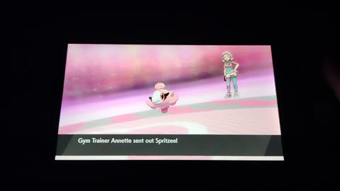 Pokemon Sword:Gym Leader Auditions