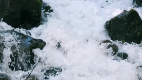 Nature videos beautiful word nature water falls