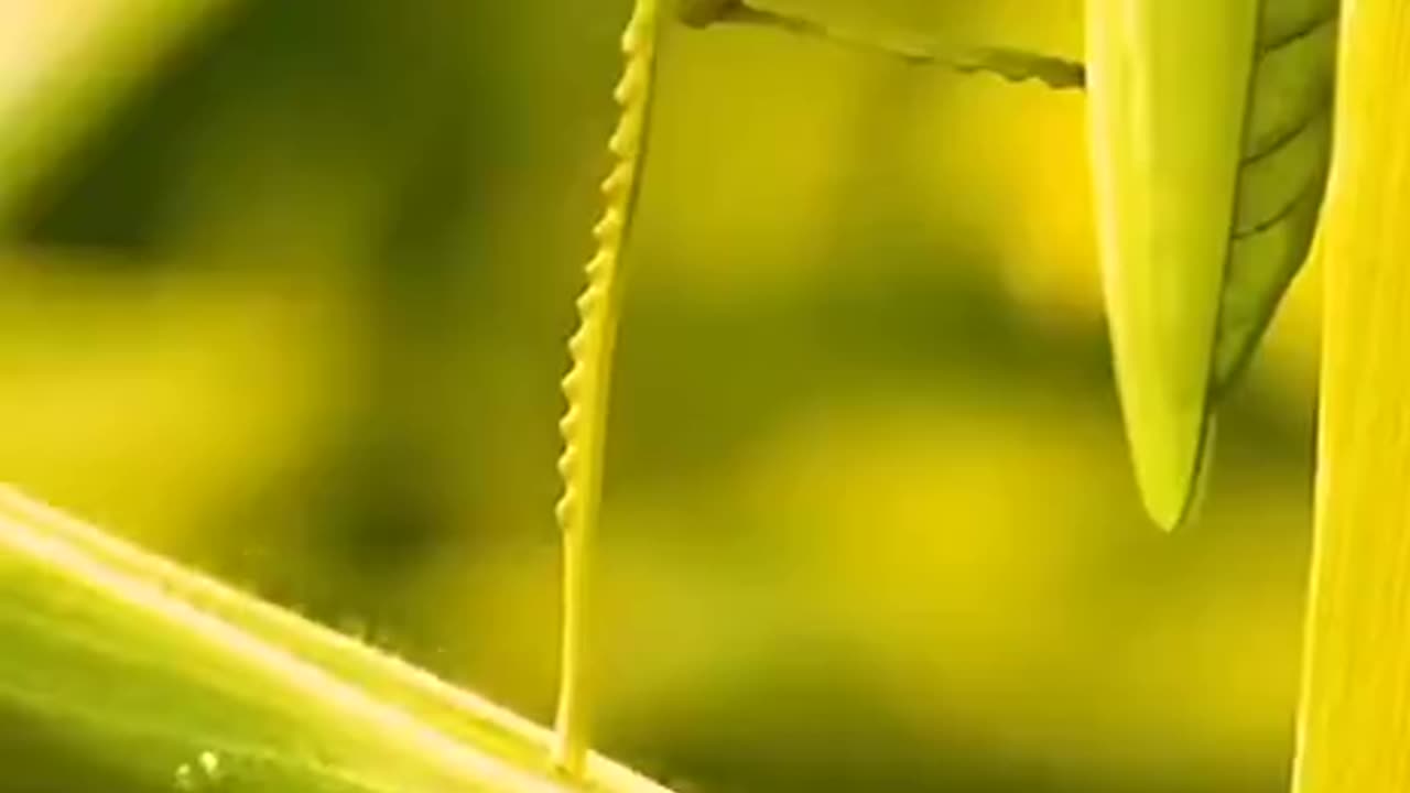 How much do it 🤔💬 to come over and take a picture