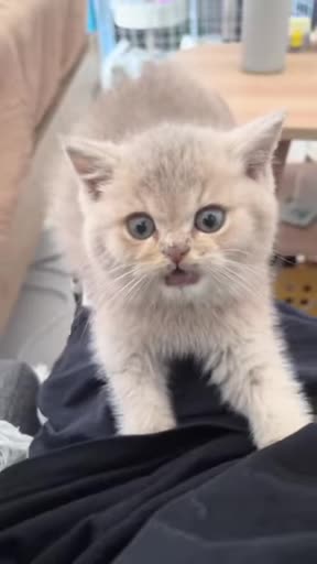 Cuteness overload 💕💕💕