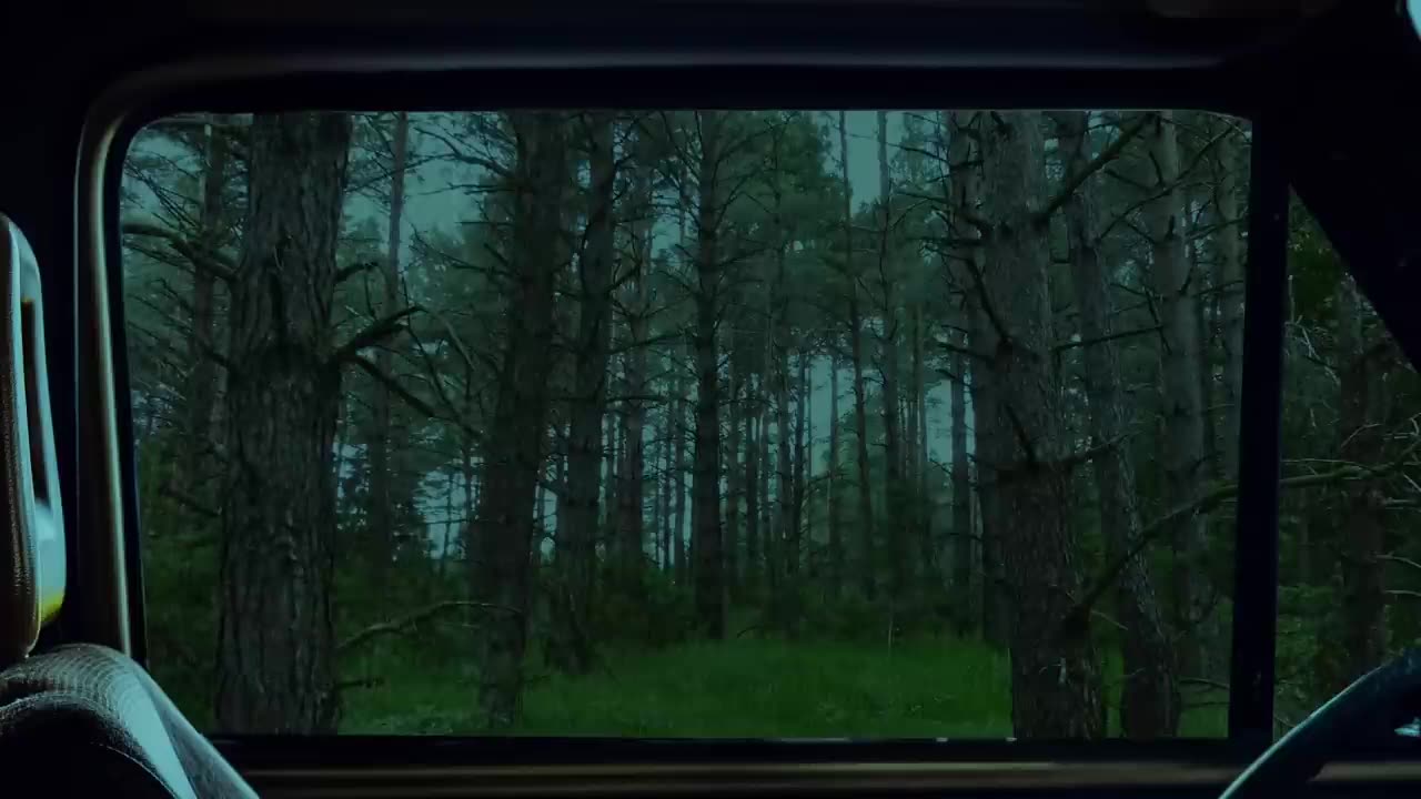 Open Car Window Rain - Rain On Car - Forest Rain - 1 hour Rain Sounds for Sleeping