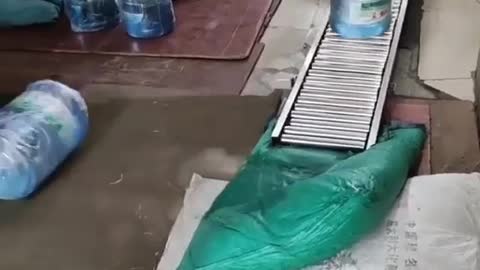 We work not with our hands, but with our heads