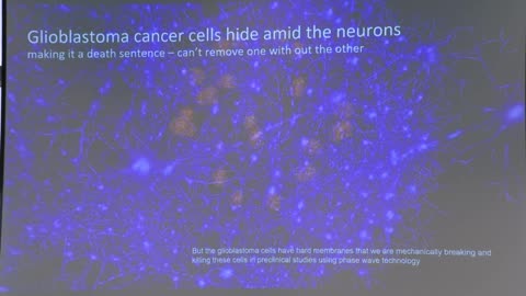 Mary Lou Jepsen (Openwater) on wearable brain imaging and therapeutics