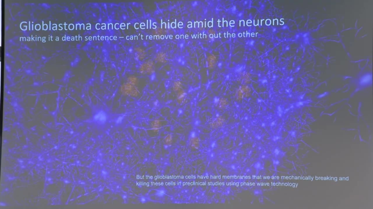 Mary Lou Jepsen (Openwater) on wearable brain imaging and therapeutics