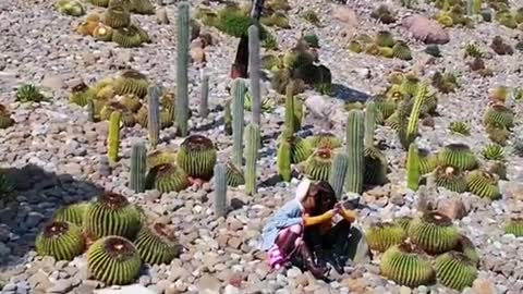 Beautiful Natural place❤️❤️❤️❤️