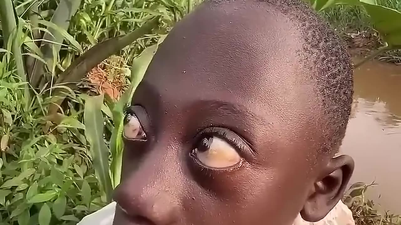 Viral boy Clips