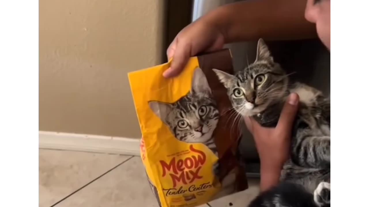 They didn't know they had adopted a model!