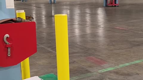 Fox In the Factory