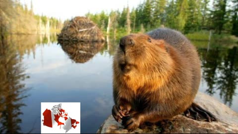 Be WARNED Poland; RUSSIA Prepares for the EVENT of the CENTURY-SCARE EVENT 2024
