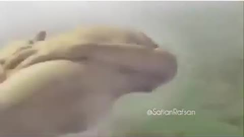 LIFE IS TOO SHORT [Funny Video]