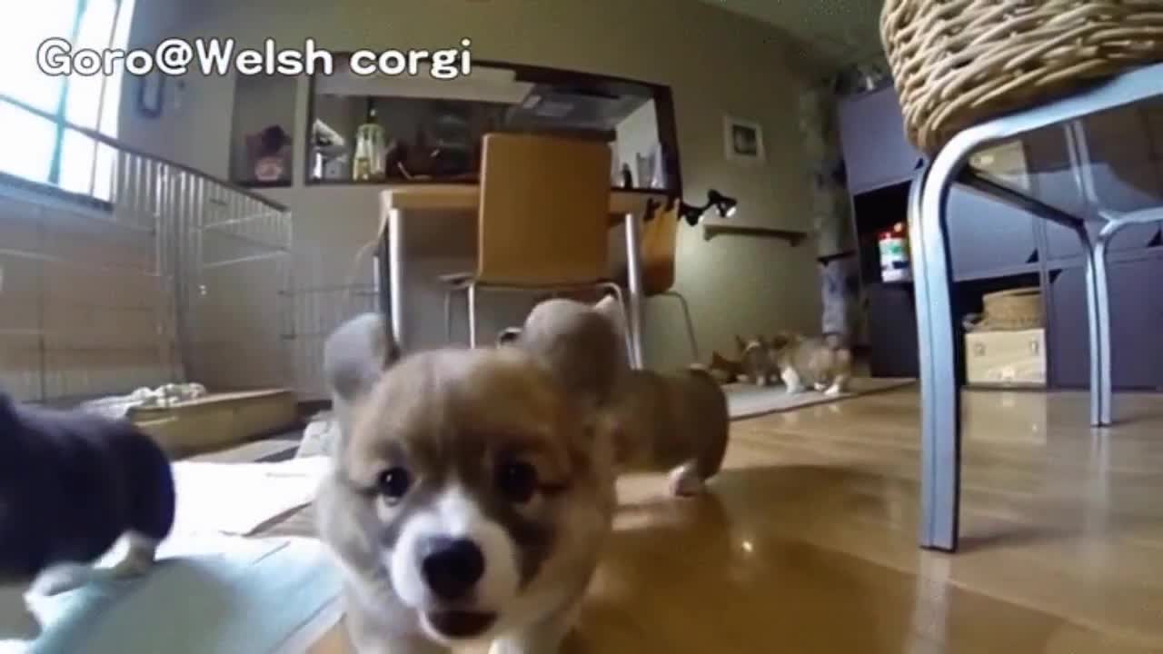 funny