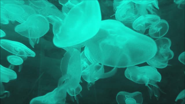 "Becoming" - art pop