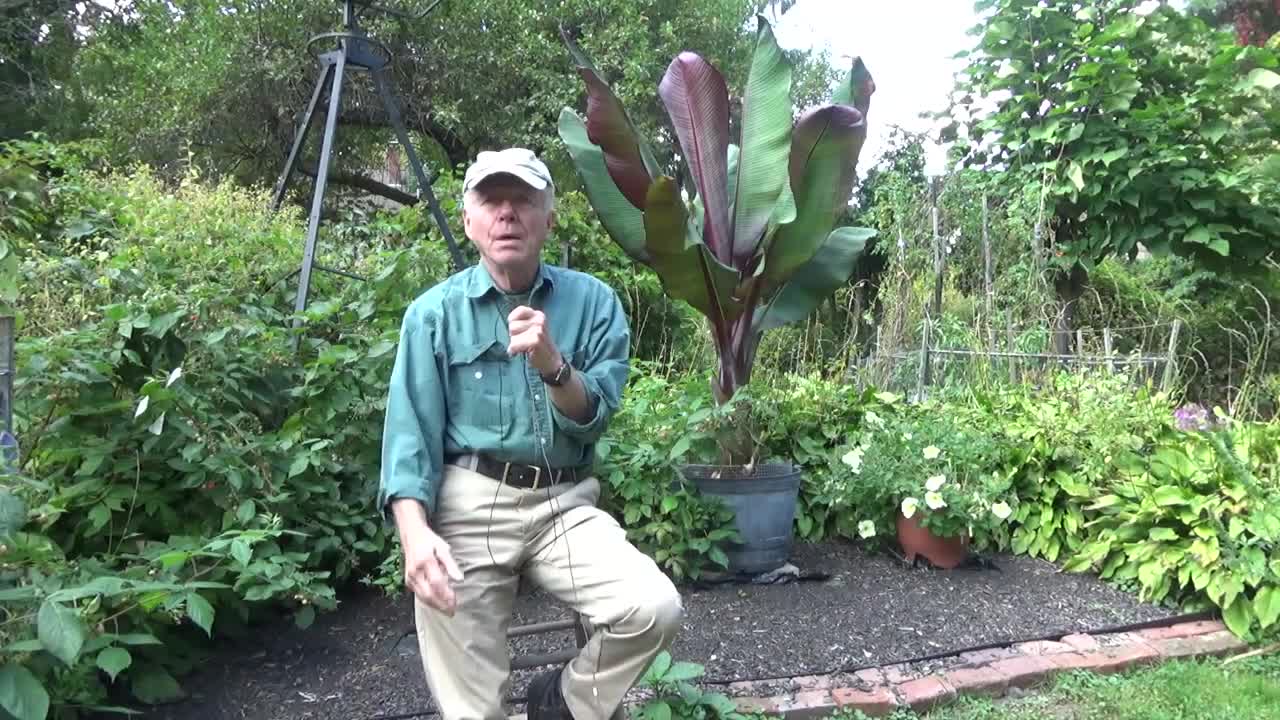 SHOULD CHRISTIANS BE INVOLVED IN POLITICS? (Part Four) ...Video # 10