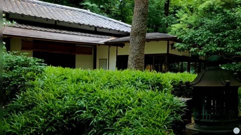 Gardening SEO Services in Noida