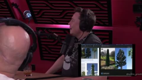 Elon Musk laughing at fake 5G trees but its really nothing to laugh about