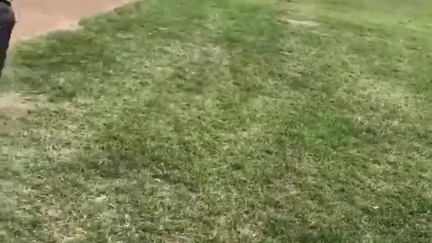 Very funnyvideos