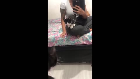 New Funny Animals Video 2023 | Funniest Cats and Dogs Videos | New Funny Video Of Cat And Dogs