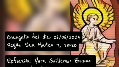 Evangelio del día 26/06/2024 según San Mateo 7, 15-20 - Pbro. Guillermo Buzzo