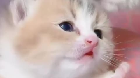 Cute and lovely