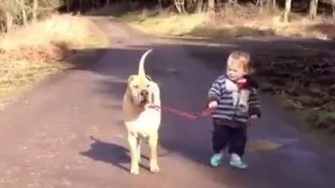 Strong relationship between a kid and a dog ❤️❤️❤️