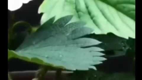 Tecnologie pericolose per l'uomo