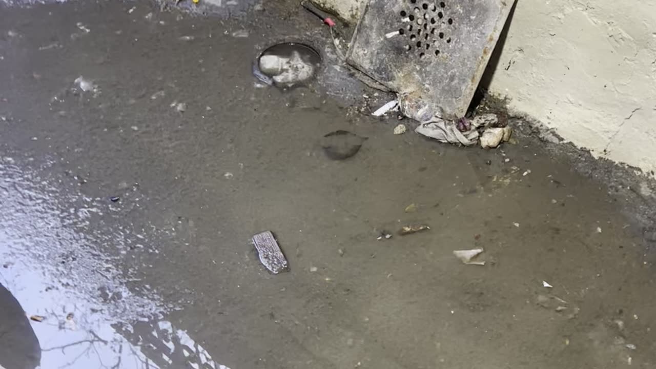 How to clean Main Sewer stoppage