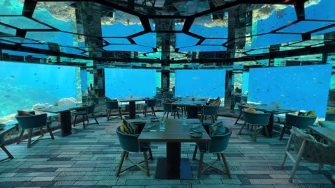 Underwater restaurant in the Maldives | Surreal fine dining experience