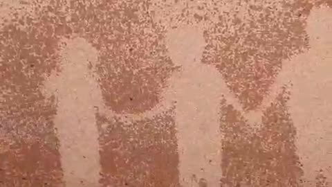 بچه