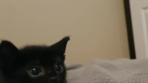 Awwww so cuteeee